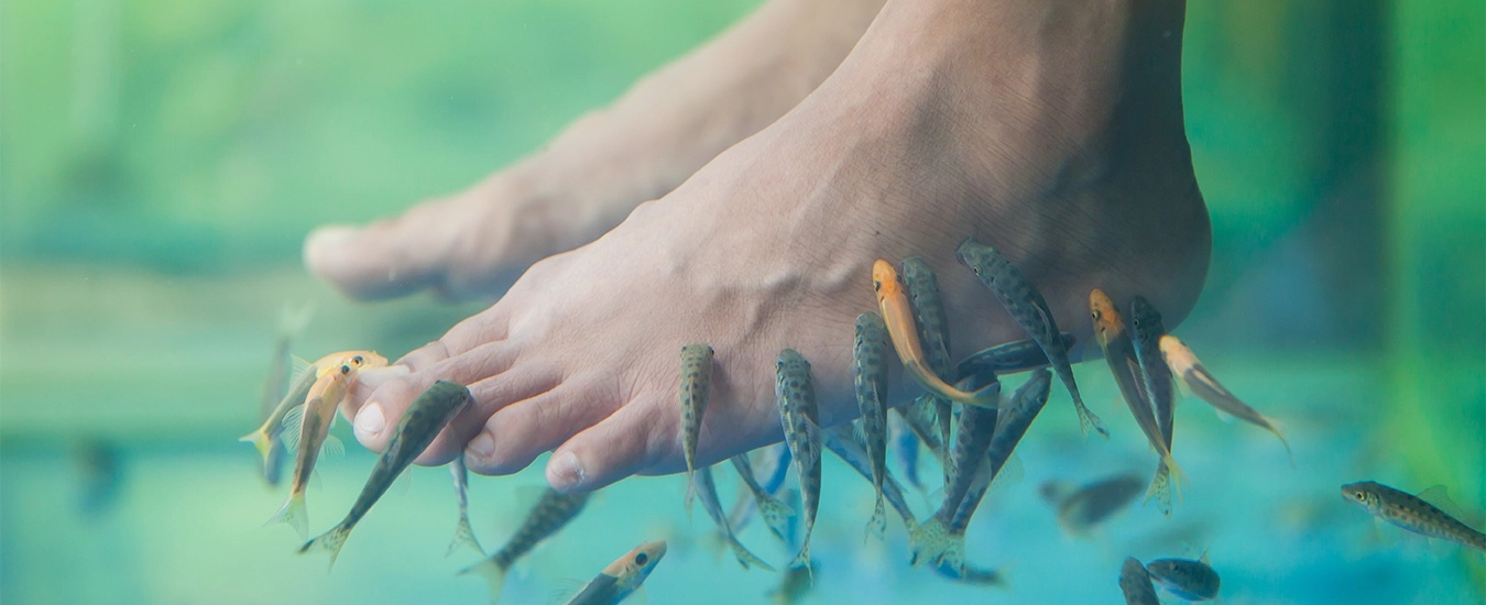 Visit a Fish Spa with Your Family