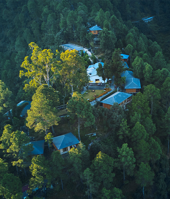 Binsar