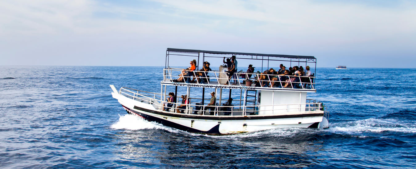 Ocean Boat Rides Experience Boat Rides With Your Family